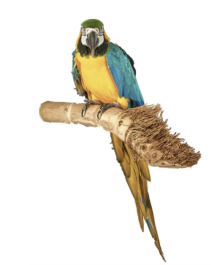 Adventure Bound Natural Bamboo Parrot Perch - Large